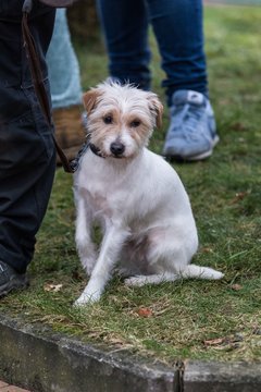 Bild 690 - Latuff 2016 Umzug